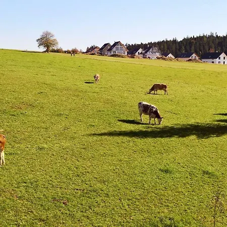 Mit Ausblick Sankt Märgen