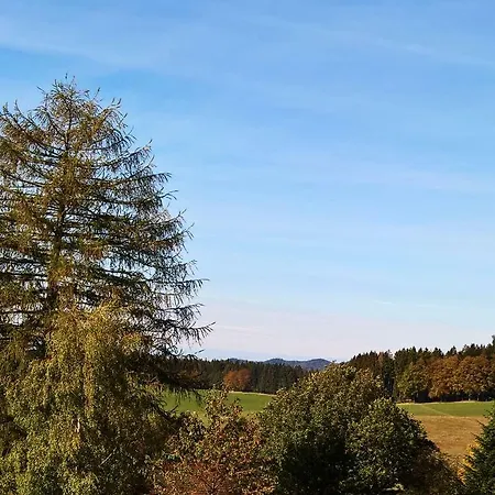 Mit Ausblick